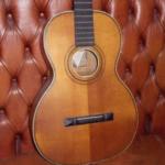 Sammo Guitar